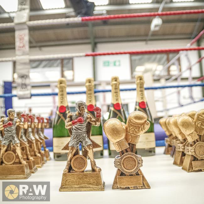  White Collar Trophies